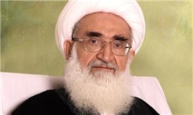 حوزه علميه نبايد در برابر سند 2030 ساكت باشد/  آیت‌الله حسین نوری همدانی : این سند با فرهنگ، مذهب، دین و قرآن منافات دارد