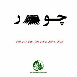 قطع درخت د رچوار